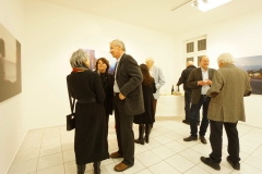 Ausstellung Tilmann Krieg - SKY-PLANE-GIRL- Museum Villa Haiss 2016