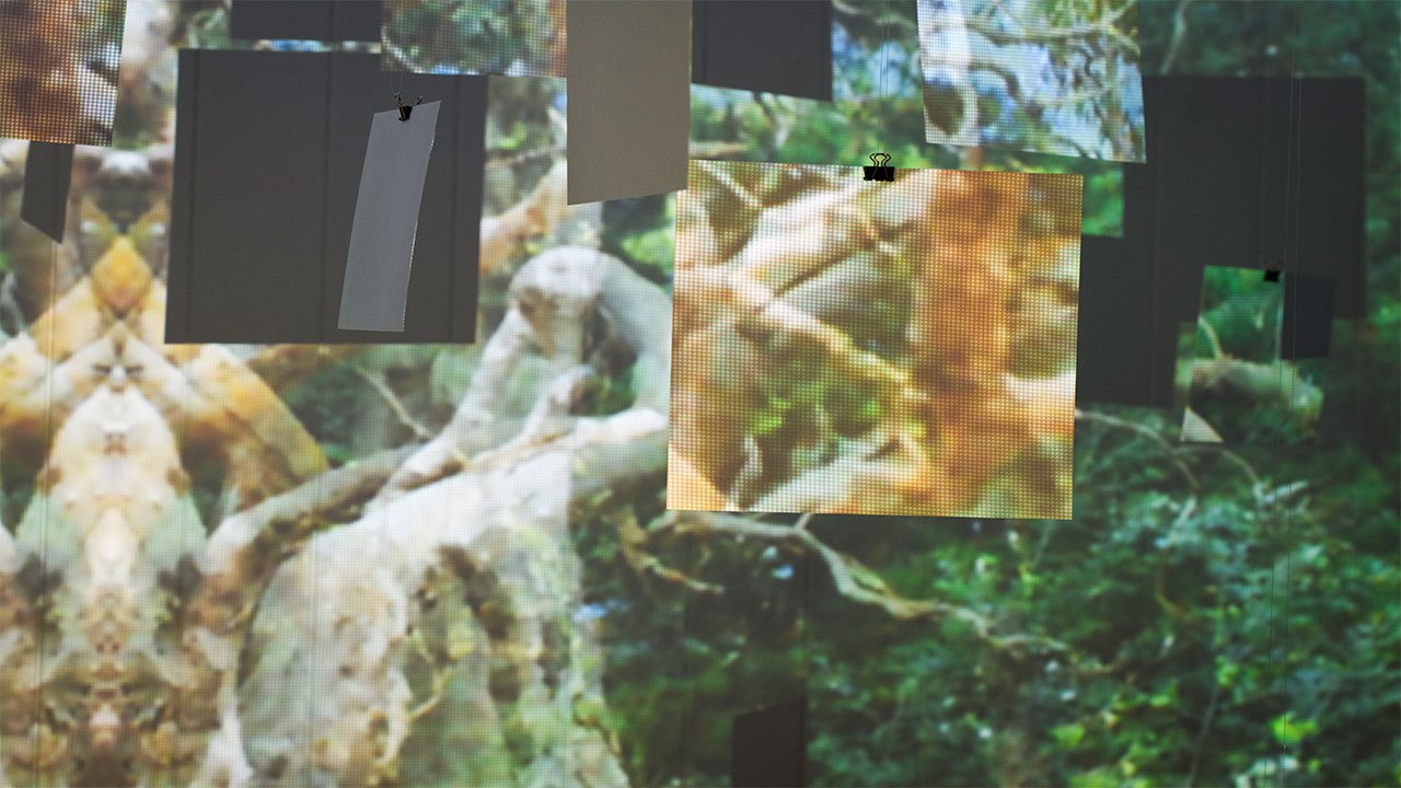 web5